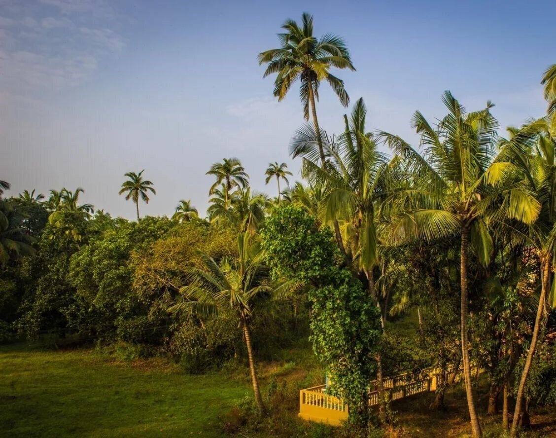 Апартаменти Green Pista 2*